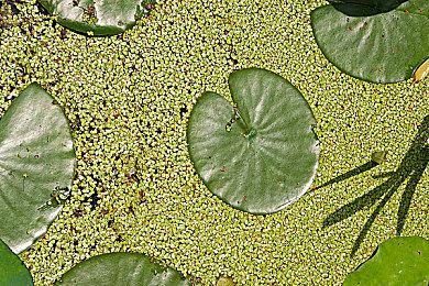 《剑星》登顶Steam畅销榜 在线破7万且持续走高！