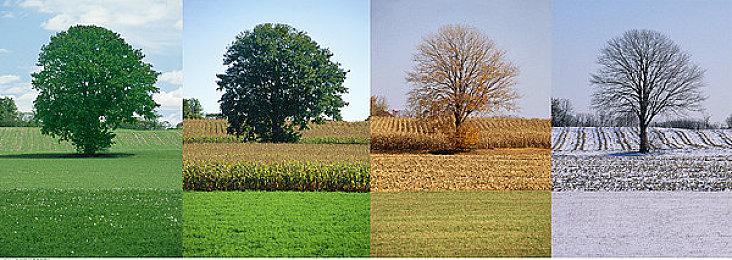 俯视射击《斯拉夫朋克：老古董》11月6日登陆主机