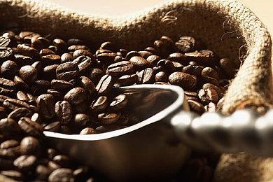 圣诞将至 每年必来的“那个女人”即将加入《堡垒之夜》